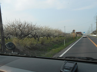 DSCN0949
