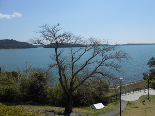 DSCN1002