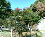 d2226c6a.jpg
