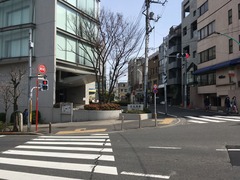 IMG_1256