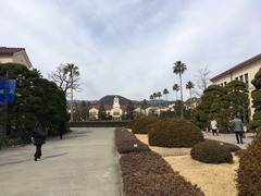 IMG_0143