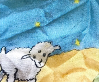 pp07