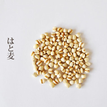 hatomugi