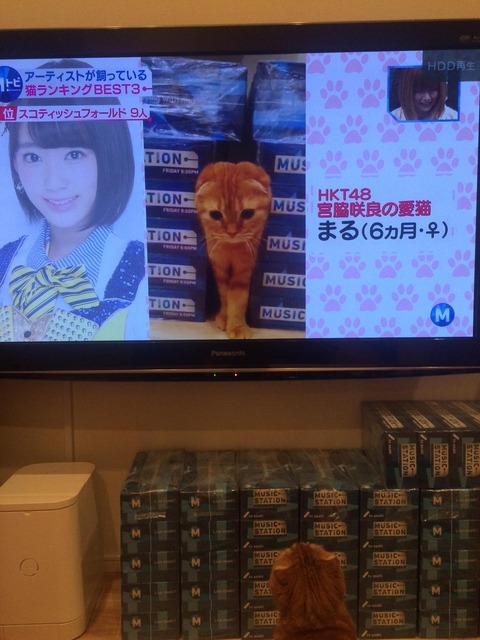 【速報】明日のミュージックステーションは32人選抜で出演する模様！！【AKB48】 [無断転載禁止]©2ch.netYouTube動画>1本 ->画像>21枚 