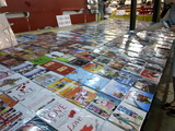 BKK235