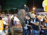 BKK234