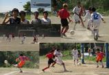 20090816 ��Ҷ���ȴ����2nd����21