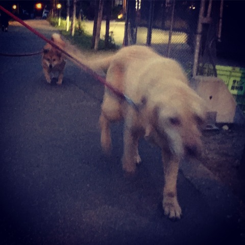 8829B1DF-9A2C-45E0-A923-7F2147F7E6A8