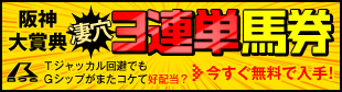 【修正】暴露王:阪神大賞典310_84