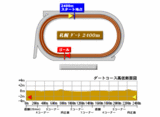 saporo-d-2400
