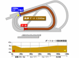 hansin-d-1200