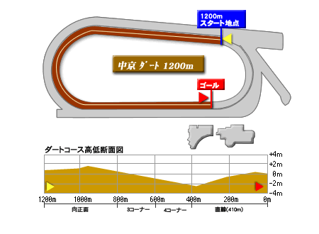 cyukyo-D-1200-1