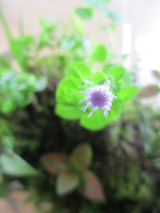 ¤µ¤¹¤±¤µ¤ó¡¢¥¢¥²¥é¡¼¥¿¥à