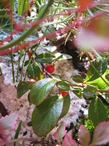 37910f7d.jpg