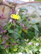 7c720849.jpg