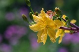7e0bd847.jpg