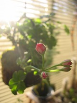 f4b647d6.jpg