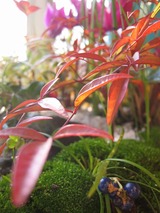 fd07d2cd.jpg
