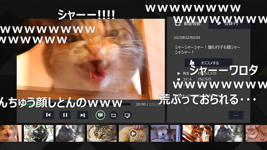 はみだしコメント