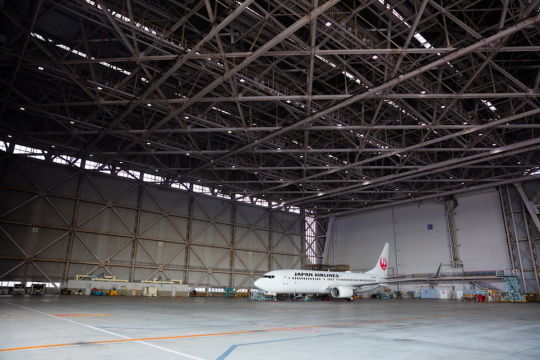 JAL_踊ってみた1