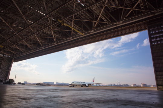 JAL_踊ってみた2