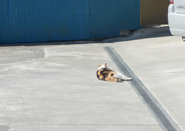 DSC00385