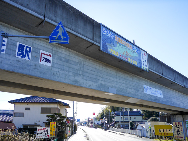 P1651462