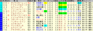 2008¡¡ÍÇϵǰ¡¡¥ì¡¼¥¹·ë²Ì