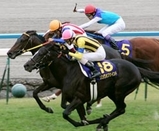 2006�Ʋ־�