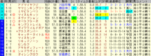 2009 Ãæ»³¶âÇÕ¡¡¥ì¡¼¥¹·ë²Ì