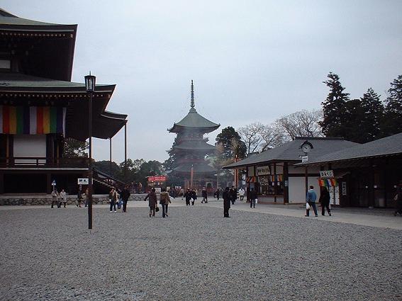 03530328.jpg