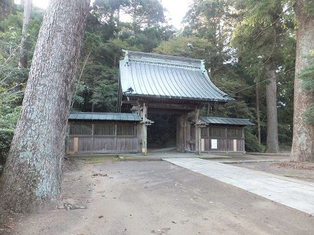 DSCF2173