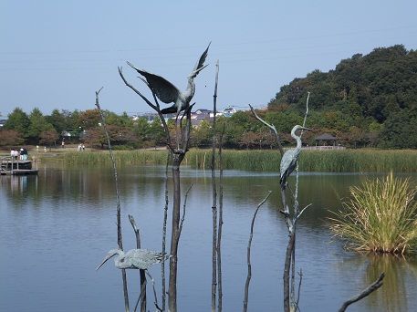 DSCF0094