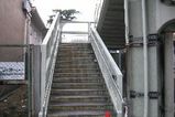 IMG_1075
