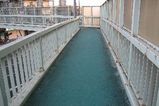 IMG_1158