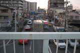 IMG_1172