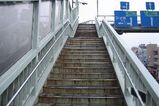 IMG_1095