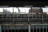 IMG_1155