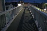 IMG_1117