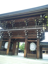 88c35f51.jpg