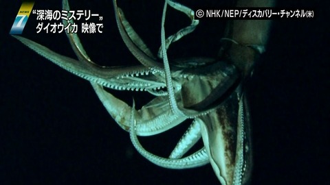 20130108182332_533_6
