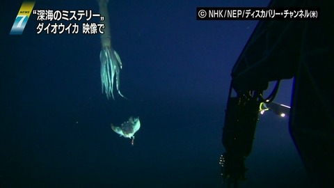20130108182332_533_7