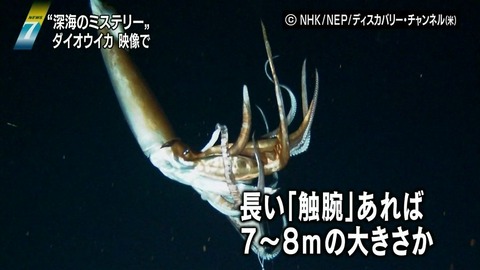 20130108182332_533_4