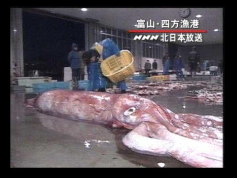 20130108182332_319_2