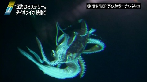 20130108182332_533_1