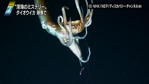 20130108182332_533_2