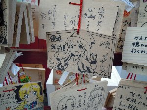 DSCN3046