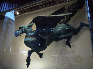 DSCN3050