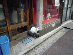 DSCN3031