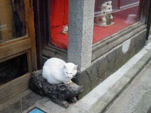 DSCN3032